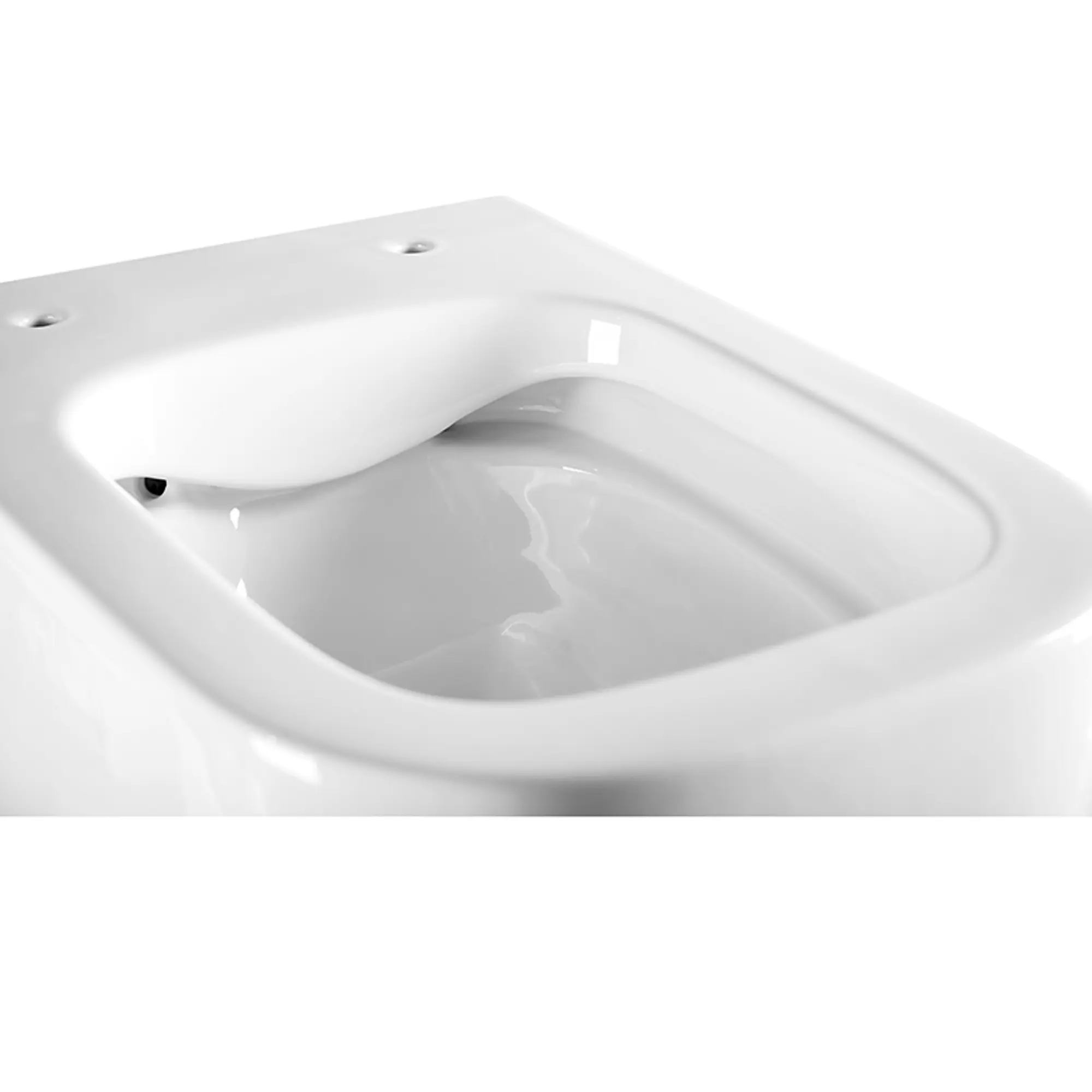 EWC700-126W Унитаз подвесной 52 см. безободковый CHARUS SKANDENBORG RIMLESS белый глянец