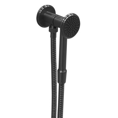 SD027A59Q AquaElite INstile душевой гарнитур, Вороненная сталь шлиф