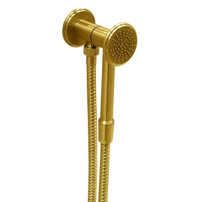 SD027A06Q AquaElite INstile душевой гарнитур, Золото глянцевое