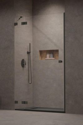 Душевая дверь 120 см. распашная Radaway ESSENZA PRO BRUSHED GUNMETAL DWJ левая